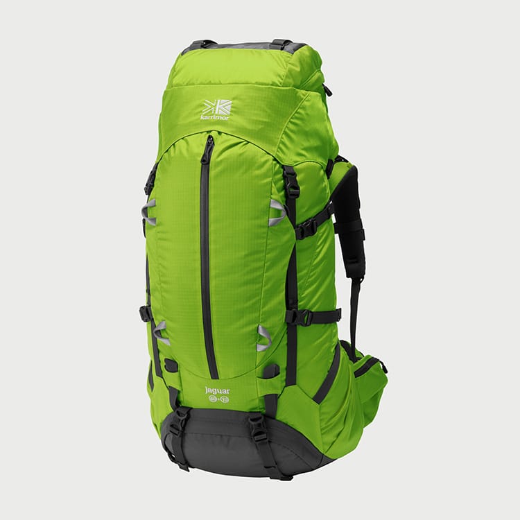 ジャガー | jaguar