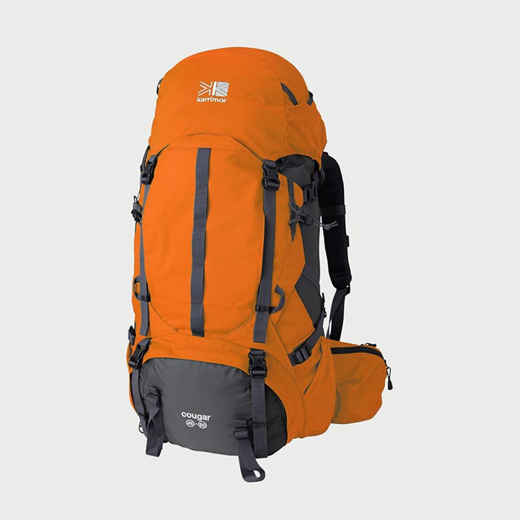 クーガー | cougar